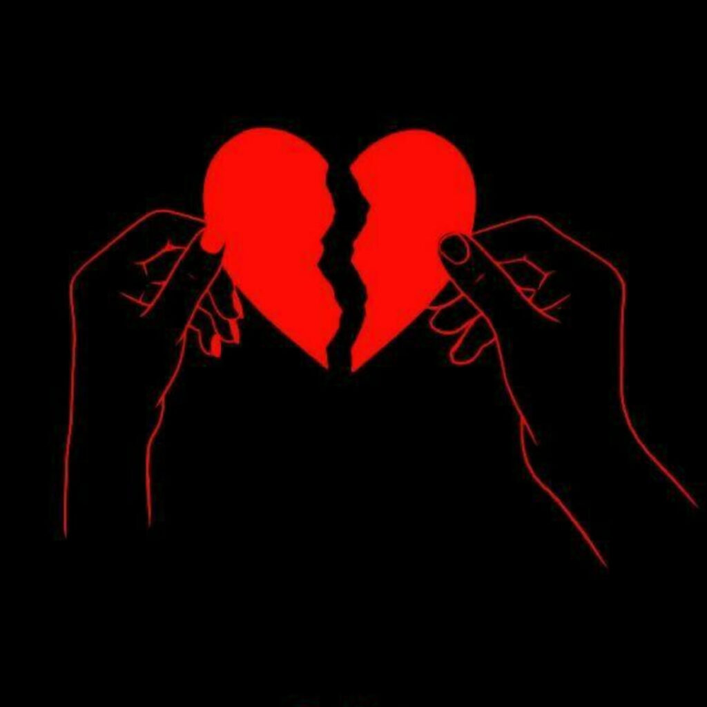 Best Profile Pictures 2026

