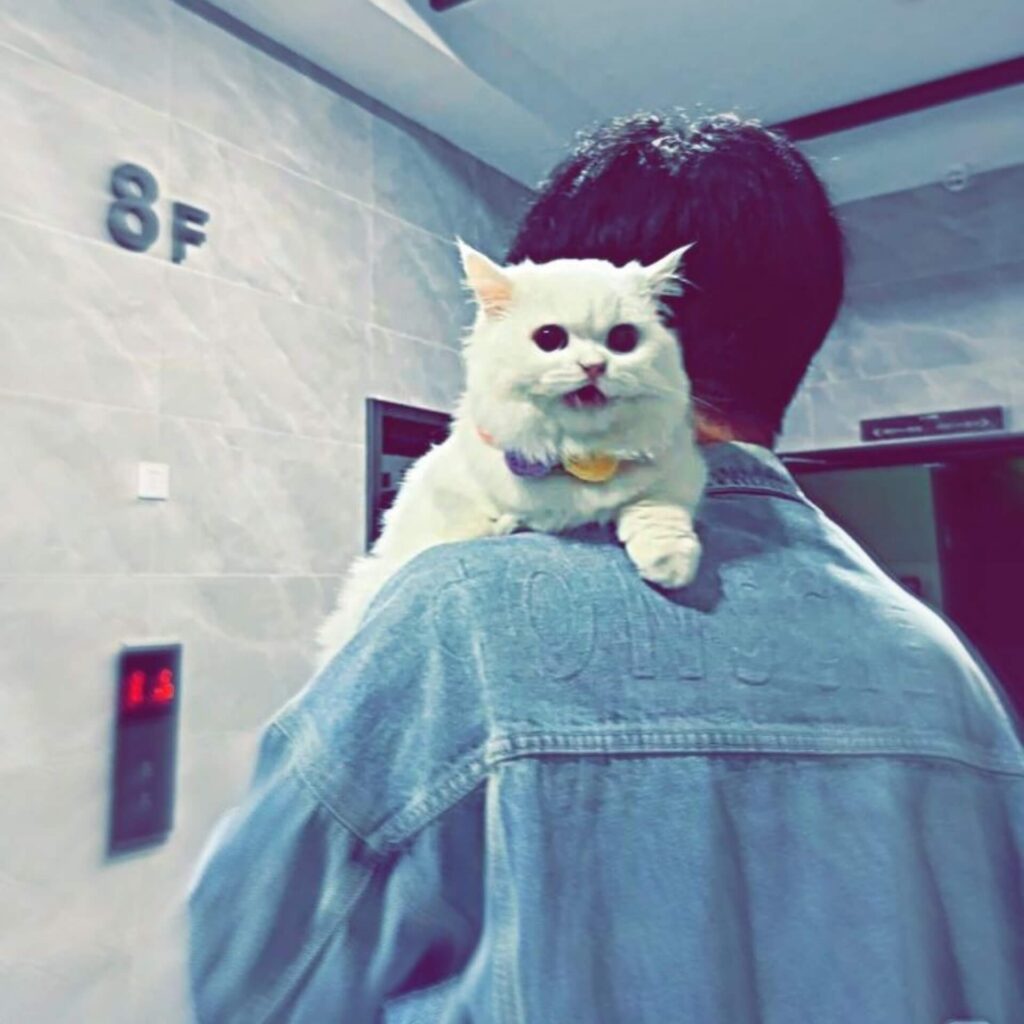 Beautiful Handsome Boy Pic
