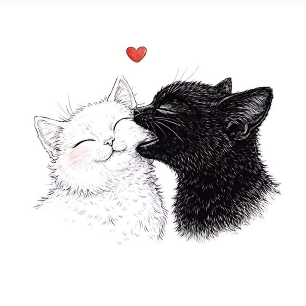 Love Pic Aesthetic
