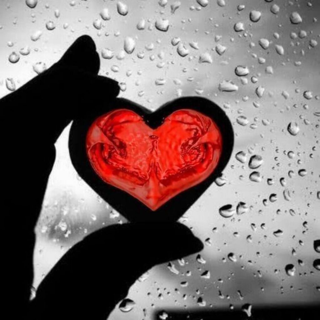 Love pictures cartoon
